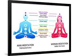 Yoga & Meditation - FitHealthHaven