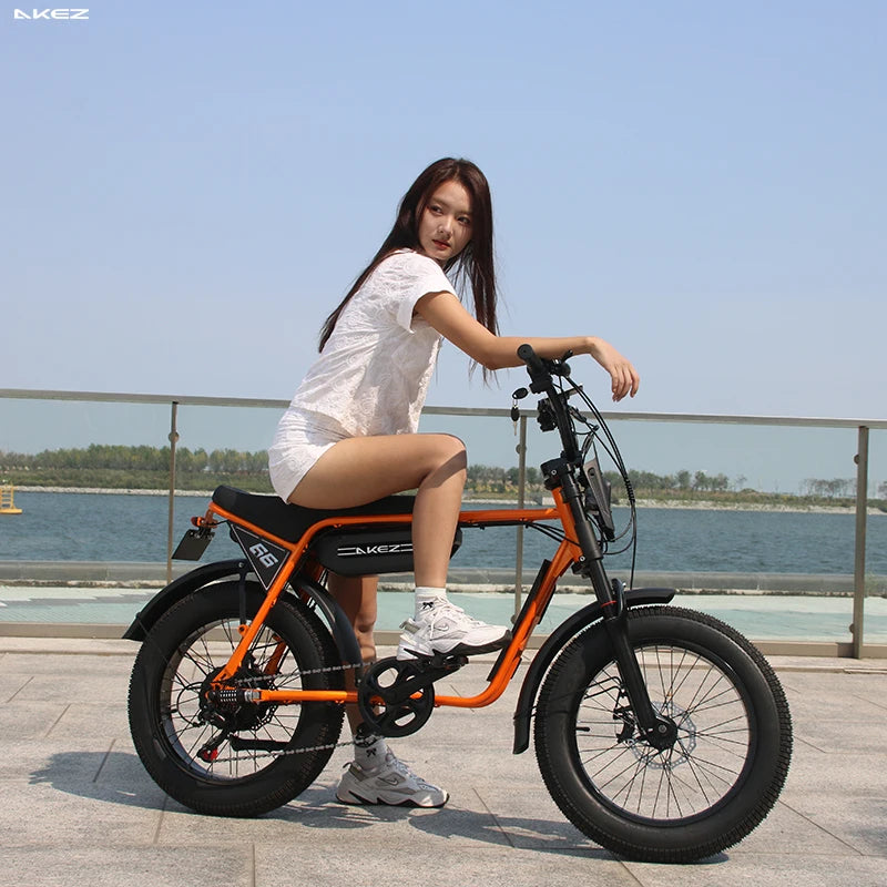 US Stock AKEZ 48V 750W Retro Off-Road Electric Bike 13Ah Battery Powerful Fat Tire E-Bike for Adults