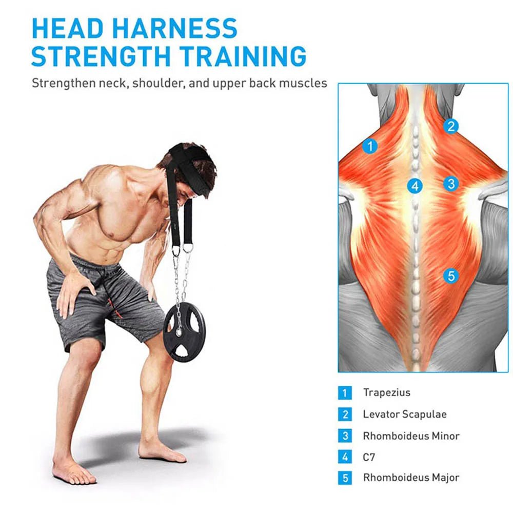 Adjustable Neck Power Training Strap Head Harness for Body Strength Exercise Weight Bearing Cap for Gym Fitness Training - FitHealthHavenFitHealthHavenFitHealthHaven14:200006151Blue-No ChainBlue-No ChainAdjustable Neck Power Training Strap Head Harness for Body Strength Exercise Weight Bearing Cap for Gym Fitness Training