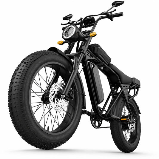 Electric Bike for Adults, 1000W Peak Motor 50 Miles Fat Tire Ebike with 48V 15Ah Removable Battery 20" Fat Tire Electric Bike, Front Suspension and 7-Speed - FitHealthHavenFitHealthHavenFitHealthHaven200007763:201336106United StatesElectric Bike for Adults, 1000W Peak Motor 50 Miles Fat Tire Ebike with 48V 15Ah Removable Battery 20" Fat Tire Electric Bike, Front Suspension and 7-Speed